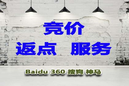 SEM广告投放优化案例研究